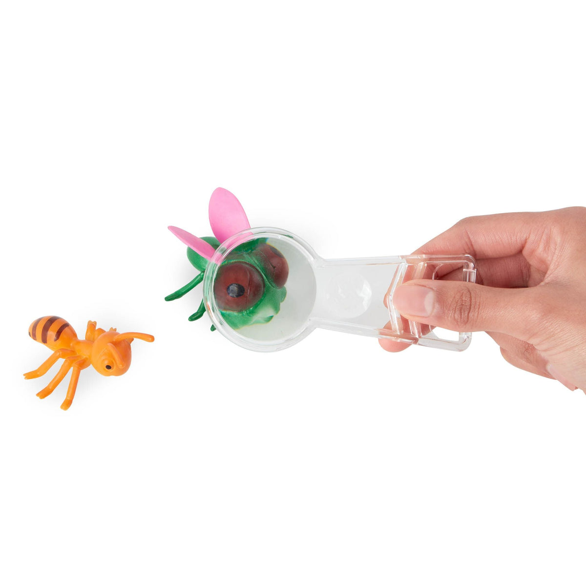 Bug Catcher Kit