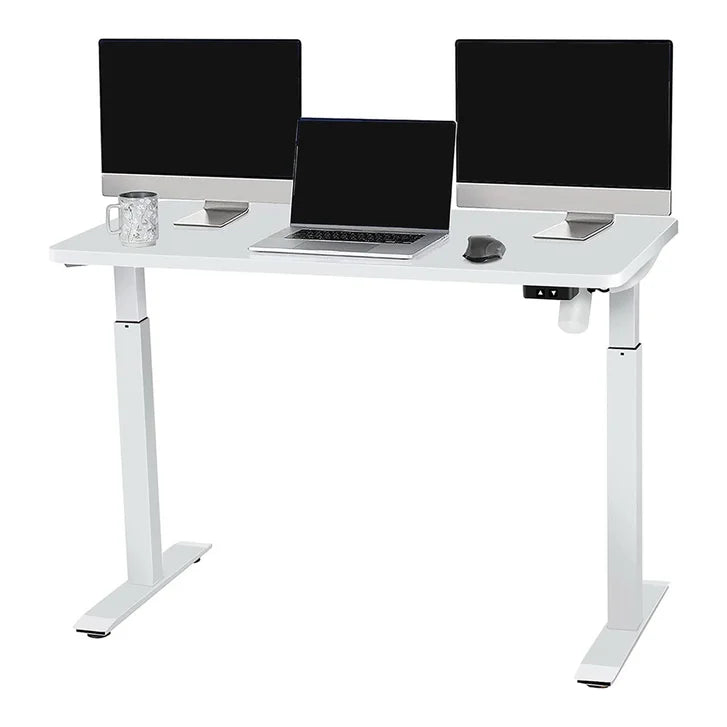 Motionwise 121.9 cm x 61 cm (48 in. x 24 in.) Single Motor Height Adjustable Desk