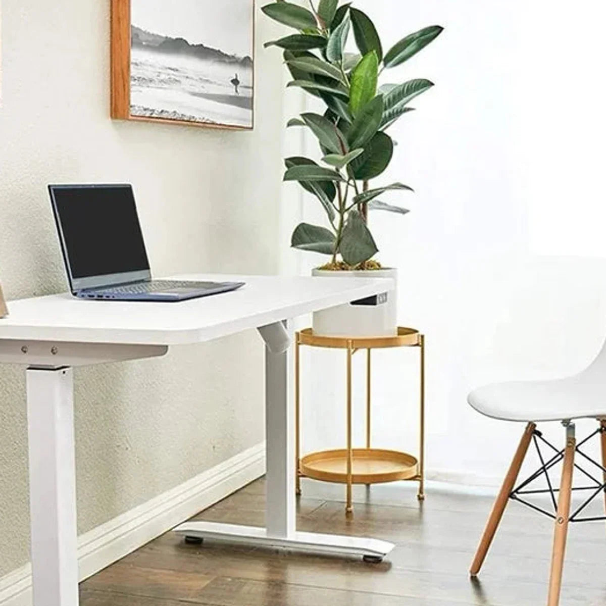Motionwise 121.9 cm x 61 cm (48 in. x 24 in.) Single Motor Height Adjustable Desk