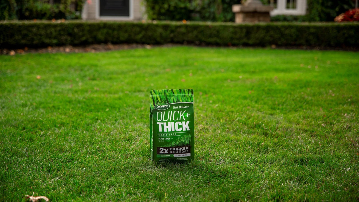 Turf Builder Quick + Thick Grass Seed Dense Shade Mix, 12-0-0, 1.2-kg