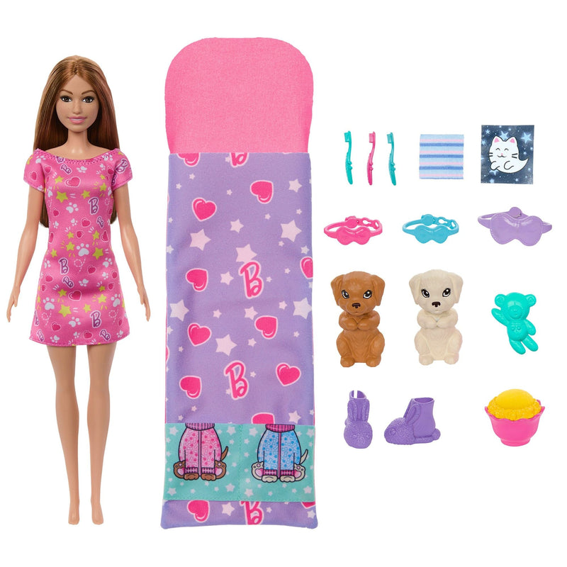 Skipper Doll & Puppy Slumber Party Playset, Kids Ages 3+ G140